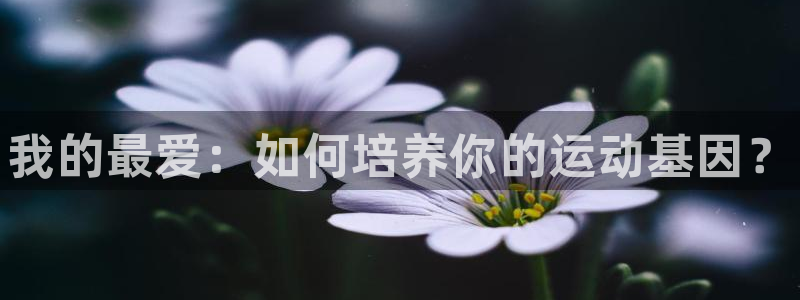 yy易游官方正版app娱乐下载
