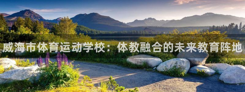 德国yy易游官方正版app集团