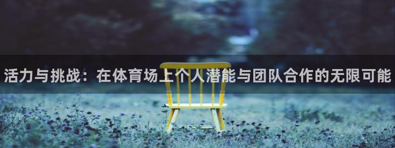 yy易游官方正版app娱乐40996：活力与挑战：在体育场上