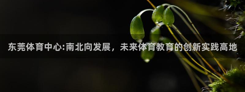yy易游官网下载平台假的吗是真的吗：东莞体育中心:南北向发展