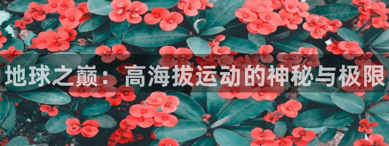 yy易游官方正版app集团官网首页：地球之巅：高海拔