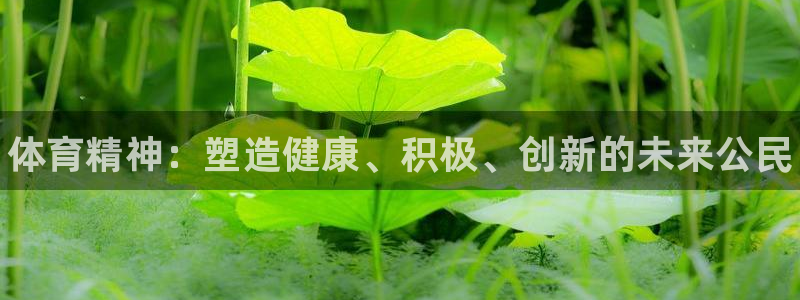 yy易游官方正版app开户：体育精神：塑造健康、积极