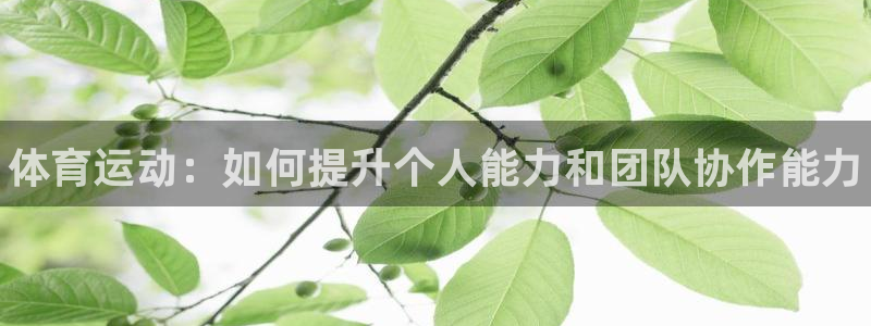 yy易游官方正版app娱乐平台：体育运动：如何提升个