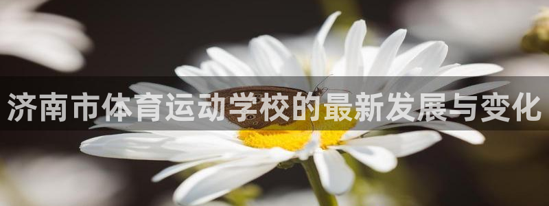 yy易游官方正版app集团官网首页网址：济南市体育运动学校的