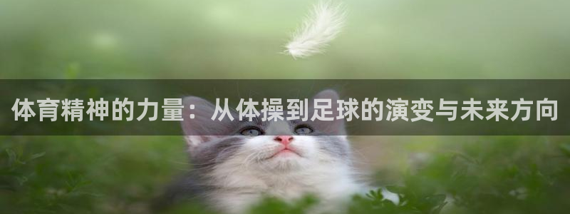 yy易游官网下载平台注册：体育精神的力量：从体操到足球的演变
