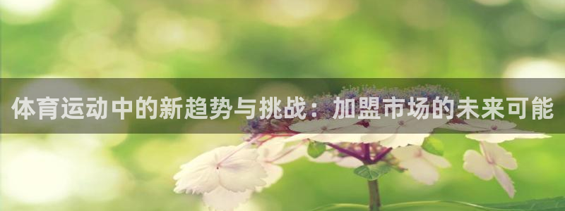 yy易游官方正版app集团E.ON：体育运动中的新趋