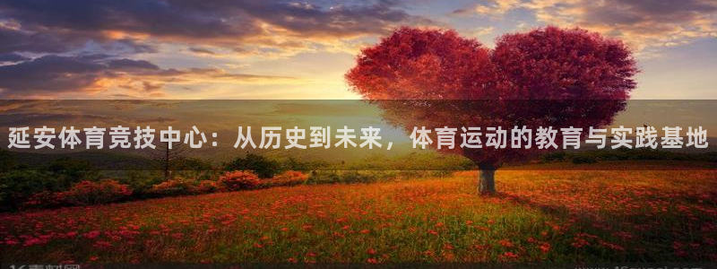 yy易游官方正版app娱乐平台：延安体育竞技中心：从