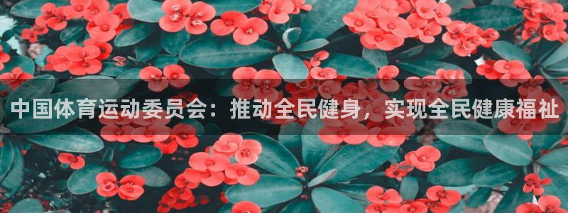 yy易游官网下载招商电话号码是多少：中国体育运动委员