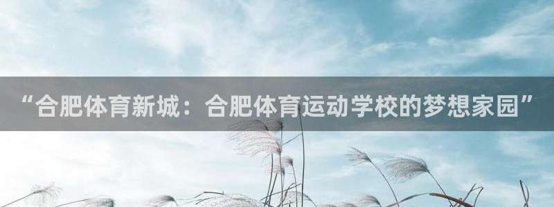 yy易游官网下载招商电话是多少：“合肥体育新城：合肥体育运动