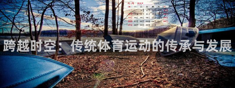 yy易游官网下载是干嘛的公司：跨越时空：传统体育运动