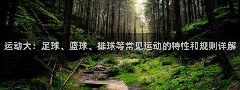 yy易游官网下载平台注册：运动大：足球、篮球、排球等常见运动