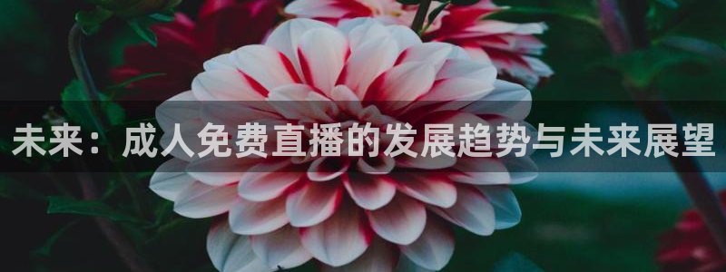 雨燕360体育无插件直播