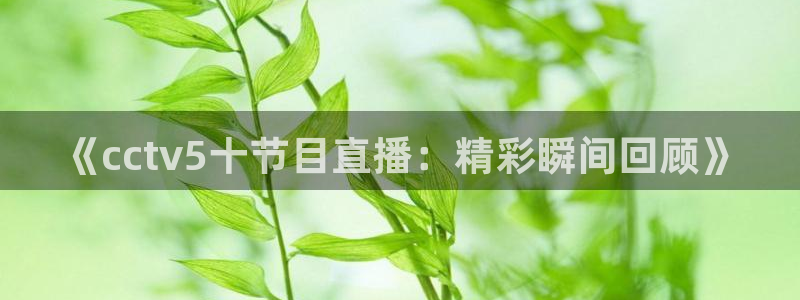 360直播网体育直播：《cctv5十节目直播：精彩瞬间回顾》