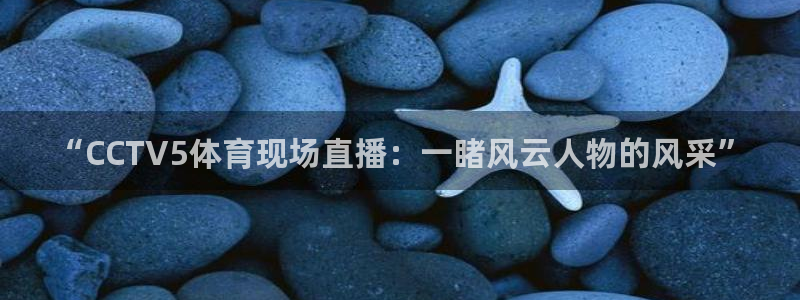 360体育直播雨燕直播在线观看：“CCTV5体育现场直播：一睹风云人物的风采”