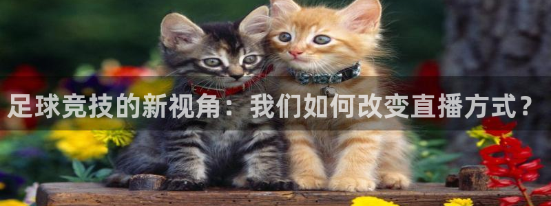 雨燕360体育直播免费：足球竞技的新视角：我们如何改变直播方式？